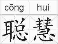 聪慧的拼音
