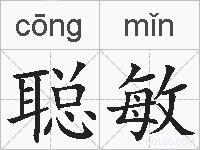 聪敏的拼音