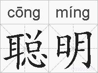 聪明的拼音