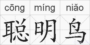 聪明鸟的拼音