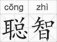 聪智的拼音
