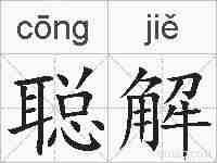 聪解的拼音