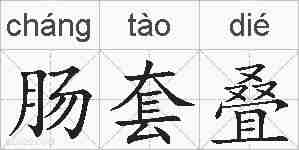 肠套叠的拼音