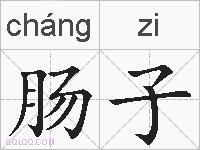 肠子的拼音