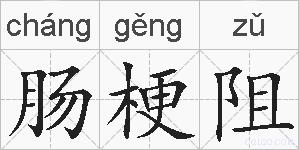 肠梗阻的拼音