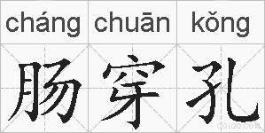 肠穿孔的拼音
