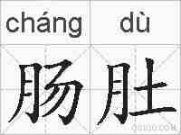 肠肚的拼音