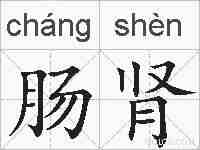 肠肾的拼音