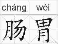 肠胃的拼音