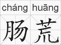 肠荒的拼音