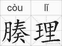 腠理的拼音