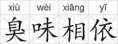 臭味相依的拼音