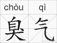 臭气的拼音