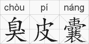 臭皮囊的拼音