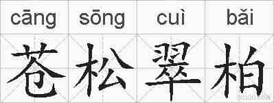 苍松翠柏的拼音