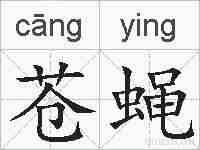 苍蝇的拼音