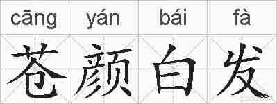 苍颜白发的拼音