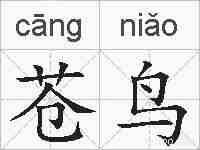 苍鸟的拼音