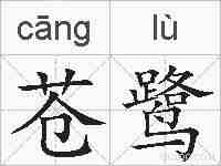 苍鹭的拼音