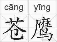 苍鹰的拼音