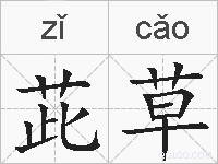 茈草的拼音
