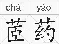 茝药的拼音
