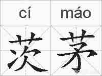 茨茅的拼音