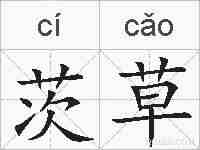 茨草的拼音