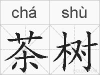 茶树的拼音