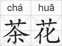茶花的拼音