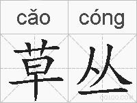 草丛的拼音