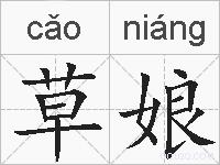 草娘的拼音