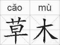 草木的拼音