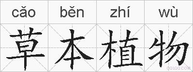 草本植物的拼音