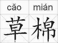 草棉的拼音