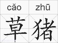 草猪的拼音