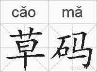 草码的拼音