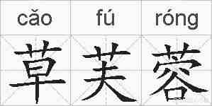 草芙蓉的拼音