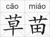 草苗的拼音