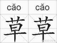 草草的拼音