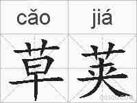 草荚的拼音