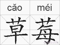草莓的拼音
