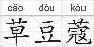 草豆蔻的拼音