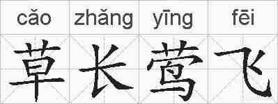 草长莺飞的拼音