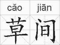 草间的拼音