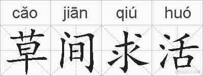 草间求活的拼音