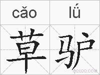草驴的拼音