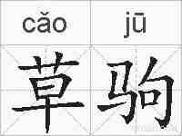 草驹的拼音