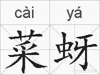 菜蚜的拼音