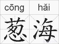 葱海的拼音